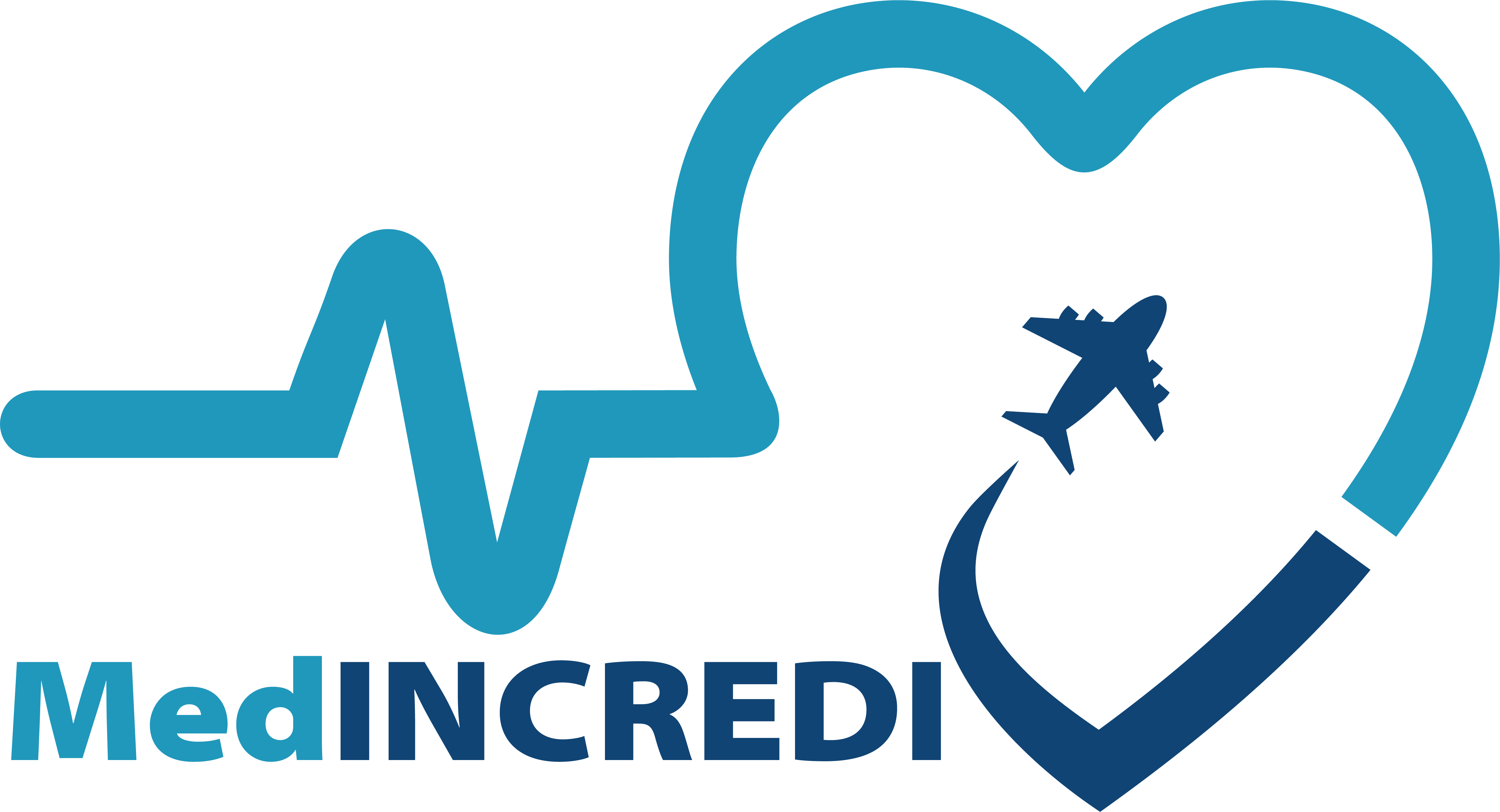Mediincredi Final Logo Aeroplane-0001